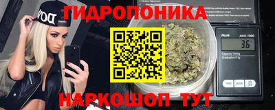 мяу мяу мука Будённовск
